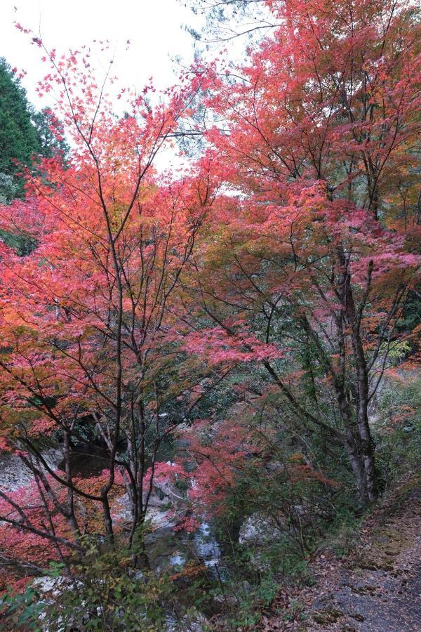 Shimanto Riverside Hideaway Extérieur photo