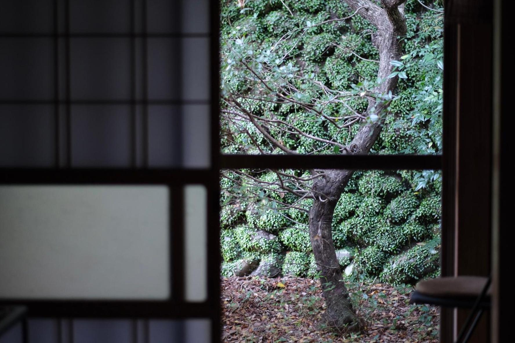 Shimanto Riverside Hideaway Chambre photo